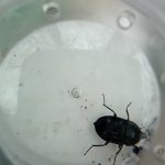 phoca_thumb_m_przkumnci 34 Fotogalerie